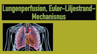 EulerLiljestrandMechanismuseffektive Lungenperfusion [upl. by Trudy190]