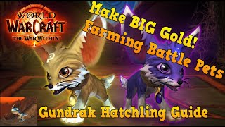 WoW Gold Farm Battle Pets Guide  Gundrak Hatchling [upl. by Bore]