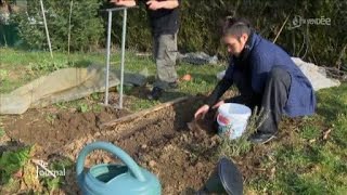 Jardinage  que faire dans son potager en ce moment [upl. by Eelyrag]