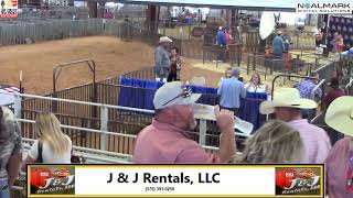 2024 Lea County Sale of Champions [upl. by Llennhoj757]