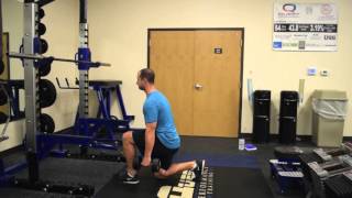 Dumbbell Split Squat Iso Hold [upl. by Merat]