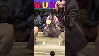 Sumo Ultimate Battle of Strength🔥ytshort [upl. by Rachaba932]