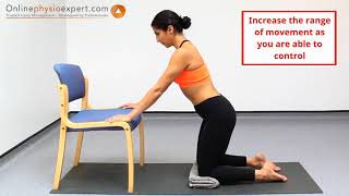 Control Lumbar Spine Flexion With A Waiters Bow Exercise  Level 1 [upl. by Gawain475]