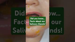 Amazing Facts about your Salivary Glands 🤤 [upl. by Donetta590]