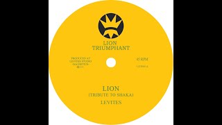 Levites  Lion  Tribute to Shaka  Lion Triumphant  LITR001 [upl. by Aihsikal937]