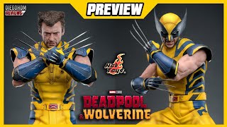 Hot Toys WOLVERINE Preview Deadpool amp Wolverine [upl. by Thorsten655]