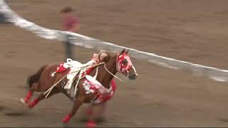 Trick Riding at the Ponoka Stampede 2018 Shelby Pierson [upl. by Smoot]