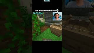 Minecraft Sheep Moment [upl. by Ajad]