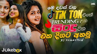 2024 TikTok Viral Songs ටික් ටොක් හිට් උන අලුත්ම ටික Best TikTok Trending Songs playlist 2024 [upl. by Yraccaz289]