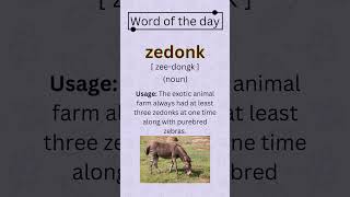 Word of the day  zedonk  The Practical Post  english  ThePracticalEnglishDaily [upl. by Rafaelle]