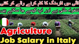 Agriculture Jobs Salary in Italy  Italy work permit  seasonal visa job in Italy  Italian seasonal [upl. by Diamond]