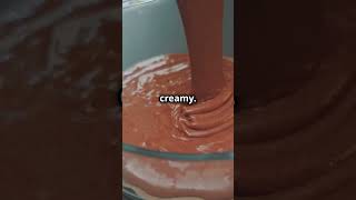 Chocolate Ice Cream Quick and Easy [upl. by Llyrad891]