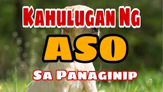 Ang Kahulugan nang Tae sa panaginip  Tae sa Panaginip Kahulugan  QueenSerye Network [upl. by Nagem]