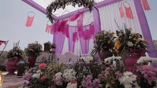 Mohit amp Hina  Lavender Theme  Haldi Ceremony  Bhanwar Singh Palace Jaipur  Devshree Events [upl. by Sapphire920]