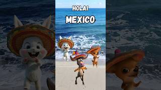 Hola Mexico chihuahua donkey rabbit [upl. by Attiuqram875]