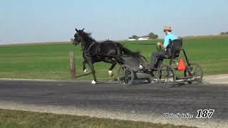 187 Philz SpitfireFriesian Fall Classic 24 [upl. by Ennalorac694]