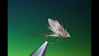 Fly Tying a Muddler Mayfly dry fly with Barry Ord Clarke [upl. by Enaujed795]