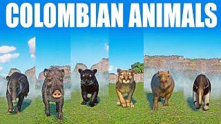 Colombian Animals Speed Races in Planet Zoo included Anteater Capybara Cougar Jaguar Tapir [upl. by Eldnik843]