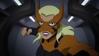 Tigress  All Fight amp Abilities Scenes  Young Justice S2S3 [upl. by Codie813]