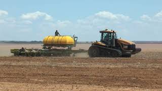 Challenger MT865B pulling Equalizer  John Deere corn planter in South Africa [upl. by Chill]