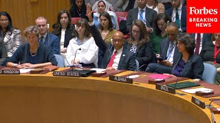 WATCH United States Vetoes United Resolution Resolution Demanding Ceasefire In Gaza [upl. by Esinad391]