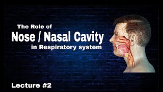 Oral cavity  Nose Role in respiratory system  By AbuBakar Med Plus [upl. by Favata]