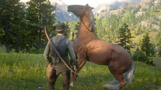 Red Dead Redemption 2  Flaxen Chestnut Hungarian Halfbred [upl. by Poyssick406]