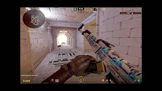 FACEIT LEVEL 10 HIGHLIGHTS [upl. by Priscella327]