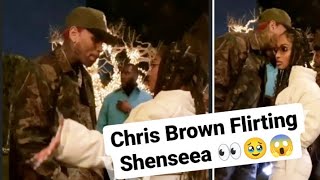 Chris Brown Flirting Shenseea At The Party quotGo Breezyquot 😱 [upl. by Lua654]