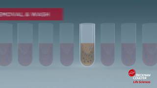 How it works Solid Phase Reversible Immobilization SPRI technology [upl. by Nerraj]