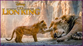 The Lion King 2019 Movie Explained in Hindi  Full Explanation 4K [upl. by Grew869]