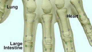 Electrodermal Screening [upl. by Orgel]