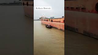 Welcome to kolkata shorst nature video hugli river🏞️ [upl. by Assirat964]