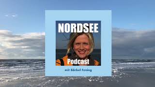 NORDSEE Podcast 6  Büsum  mit Krabbenfischer André Claußen [upl. by Anawaj592]