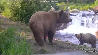 910 girls begrudgingly let 719jr grab scraps 2024 07 22 exploreorg BFL [upl. by Adnaerb560]