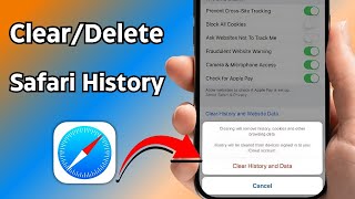 How to Clear Safari History on iPhone iOS 18  How to Delete Search History on Safari iOS 18 [upl. by Heid]