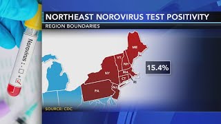 Contagious stomach bug circulating in the Northeast  Know the symptoms [upl. by Ahsinelg]