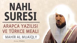 Nahl suresi anlamı dinle Mahir al Muaiqly Nahl suresi arapça yazılışı okunuşu ve meali [upl. by Becht527]