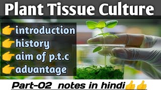 plant tissue culture part 2 bsc3rdyear botany [upl. by Helfant]