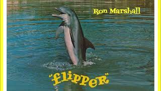 Ron Marshall  Flipper Tv Theme Song [upl. by Reynard623]