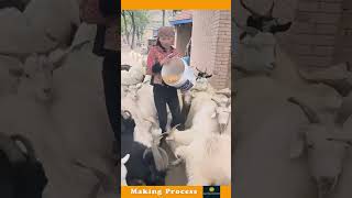 The Process Of Feeding Goats [upl. by Ynaffyt]