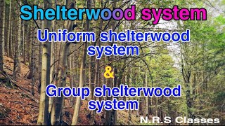 Shelterwood system Uniform shelterwood system and Group shelterwood system [upl. by Ardnatal]