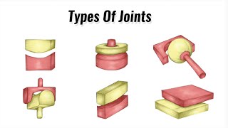 Types Of Joints in the Human Body  GCSE PE [upl. by Araes]