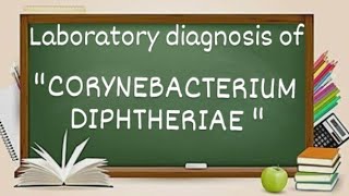 Corynebacterium Diphtheriae laboratory diagnosis [upl. by Keli]