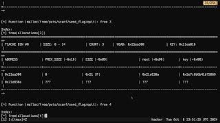 Dynamic Allocator Misuse  CSE466  Robert  20241008 [upl. by Zetram]