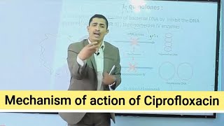 Mechanism of action of Quinolines آلية عمل فلوروكيونيلونز [upl. by Macmahon]