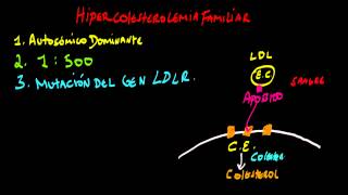 Hipercolesterolemia Familiar [upl. by Bussy307]