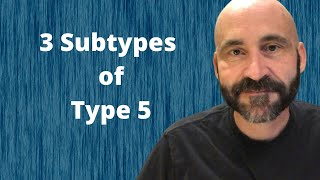 Enneagram Subtypes of Type 5 [upl. by Korwin]