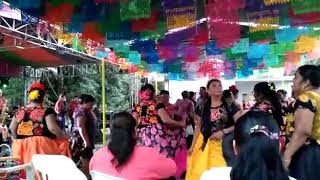 Son regional istmeño oaxaqueño bailado c señoras en Sta María chimalapa oax [upl. by Ahsial]