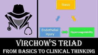 Virchow’s Triad  From Basics to Clinical [upl. by Arikal]